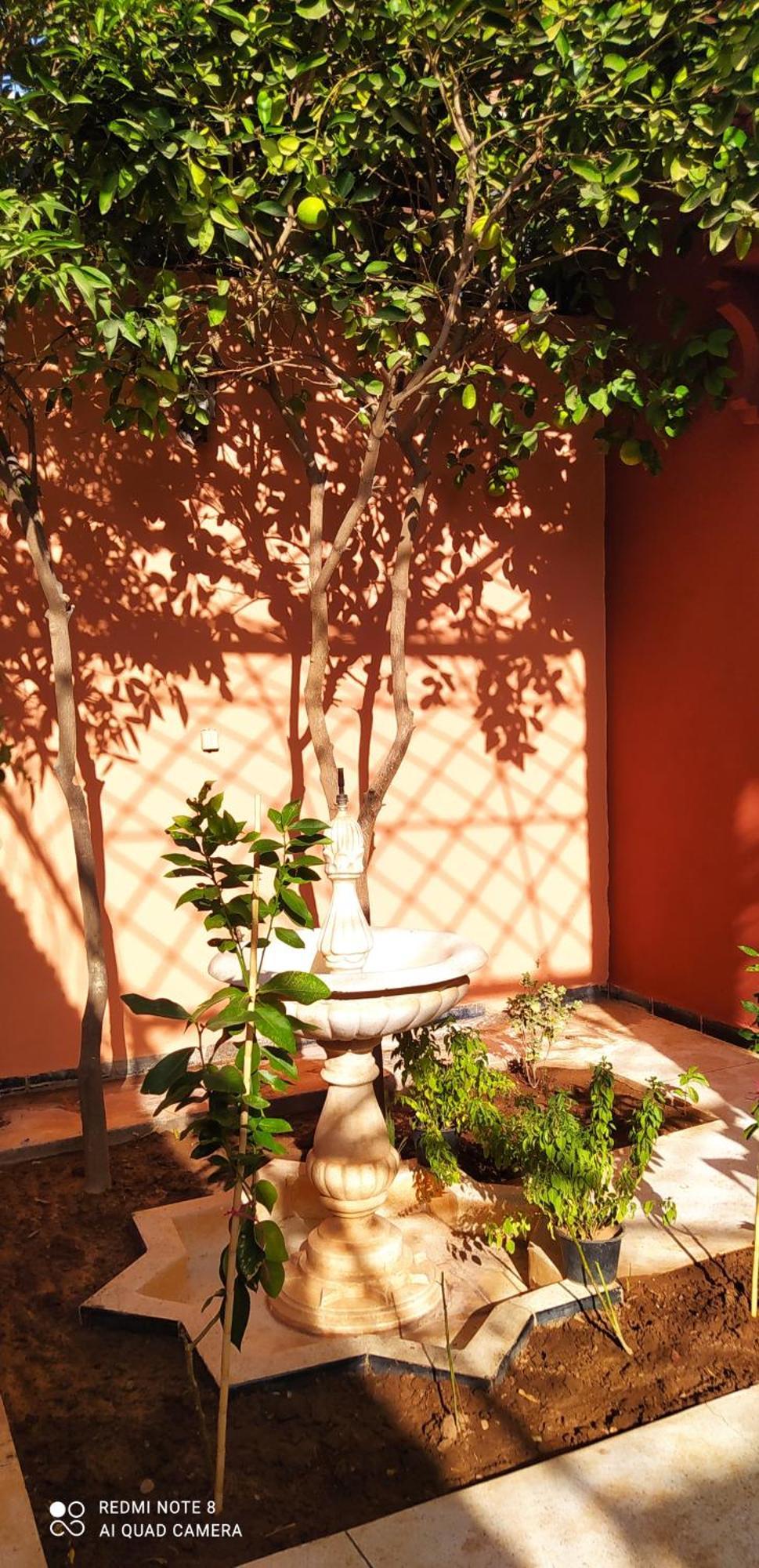 Maison D'Hotes Le Petit Jardin Marrakech Marrakesh Exterior foto